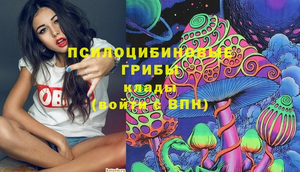 молекула духа Елабуга