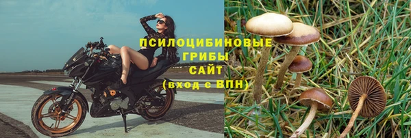 трава Елизово