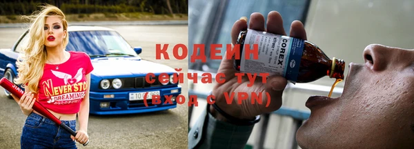 молекула духа Елабуга
