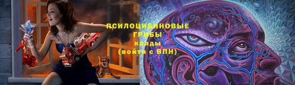молекула духа Елабуга