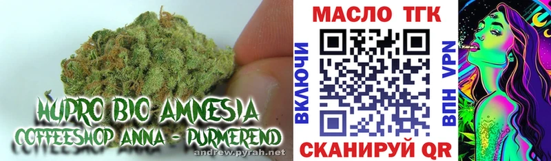 Купить закладки  Чайковский  ТГК концентрат 