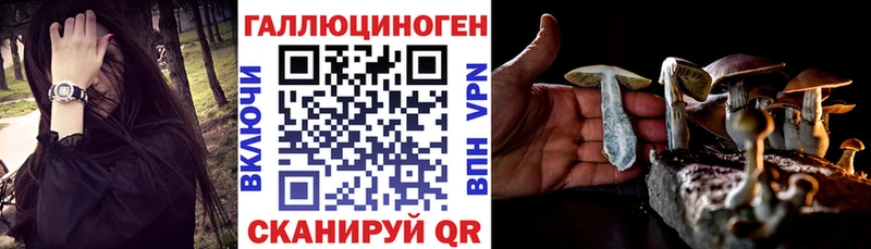 Купить где  Чайковский  Псилоцибиновые грибы прущие грибы 