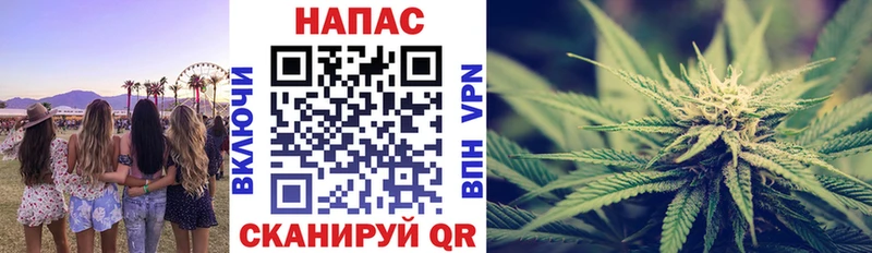 Бошки Шишки гибрид  Купить где  Чайковский 